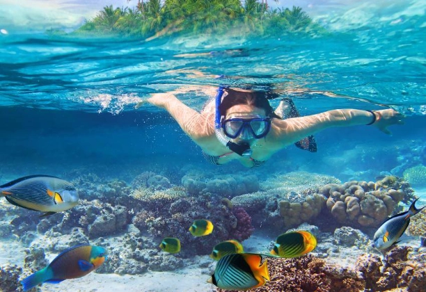 snorkeling tips for beginners