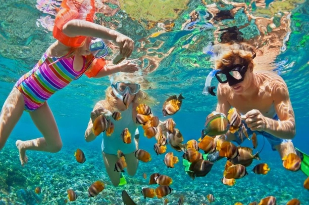 snorkeling for beginners