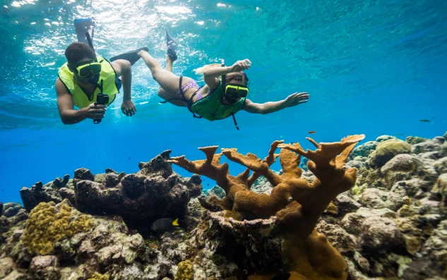 Top Snorkeling Destinations