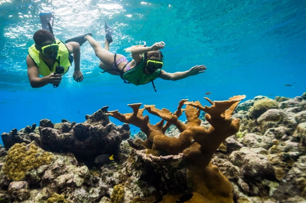 snorkeling for beginners