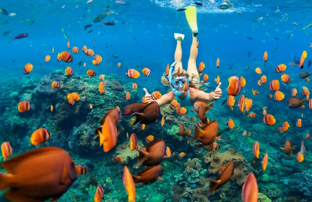 best snorkeling spots in the world