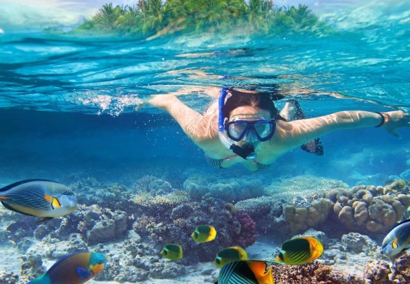 coastal snorkeling equipment