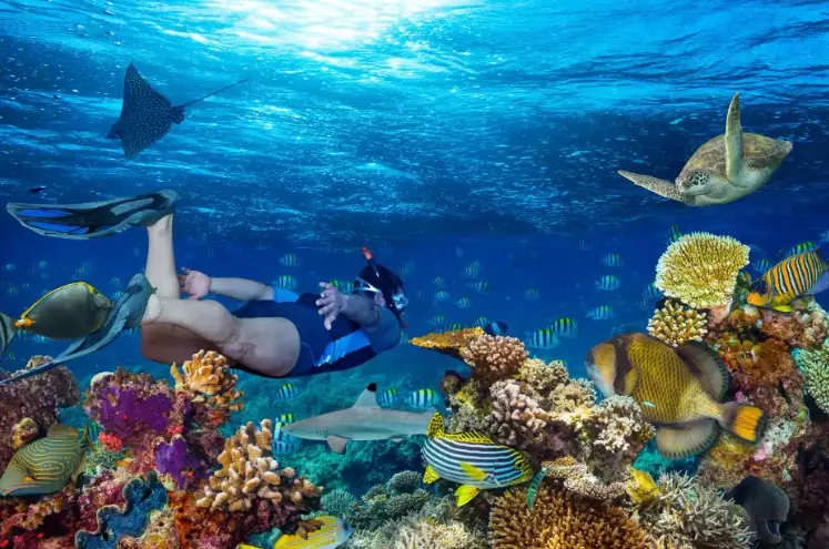 snorkel gear checklist