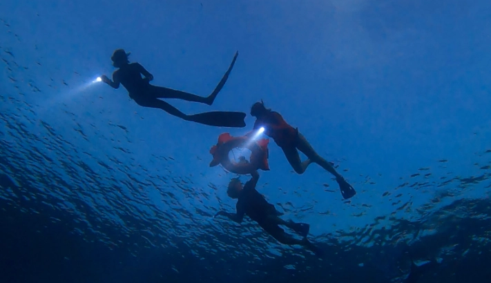 night snorkeling gear
