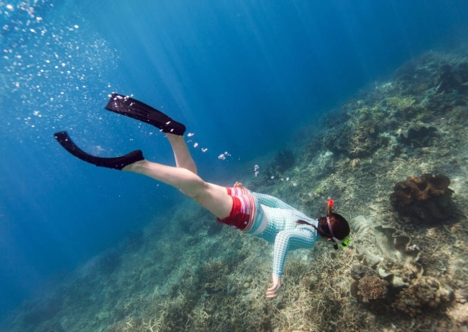 best snorkeling camera setup