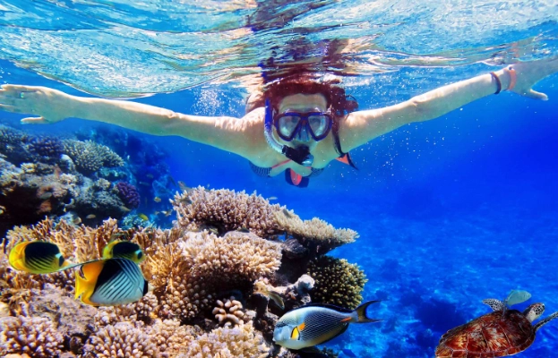 best snorkeling destinations best snorkeling destinations
