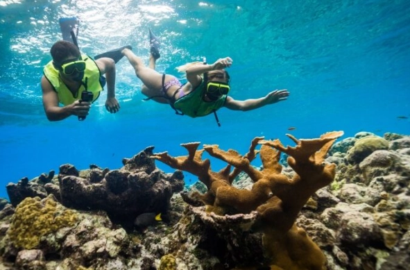snorkeling gear for two