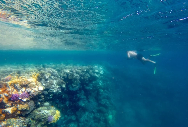Belize snorkeling tours