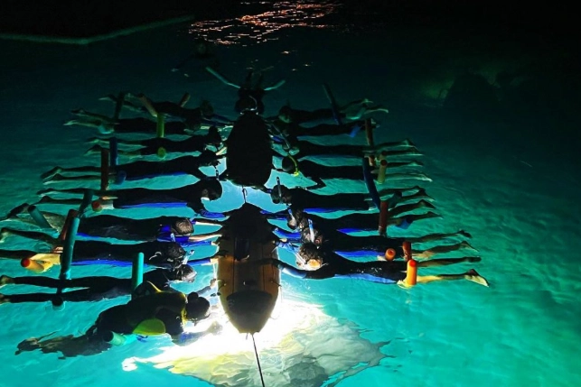 night snorkeling for beginners
