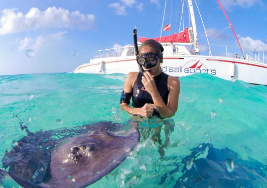 stingray city grand cayman stingray city grand cayman
