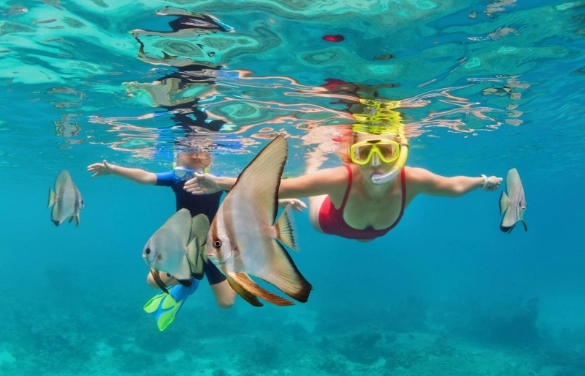 kayak snorkeling safety tips