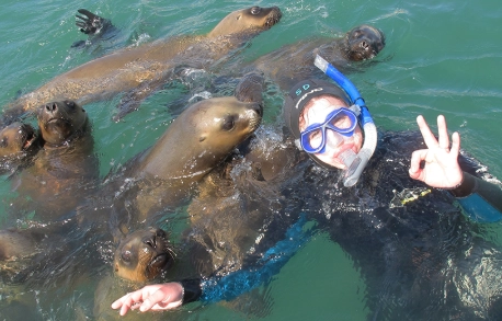 sea lion snorkeling tours