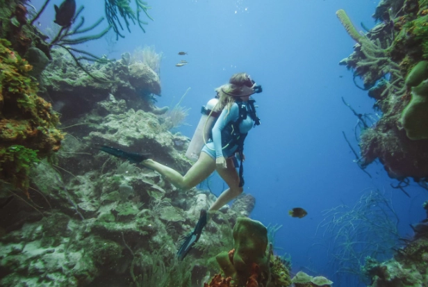 underwater sinkhole diving