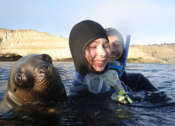 swimming with sea lions