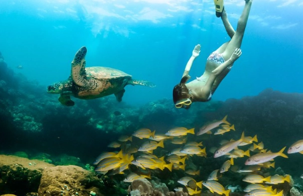 kauai snorkeling spots