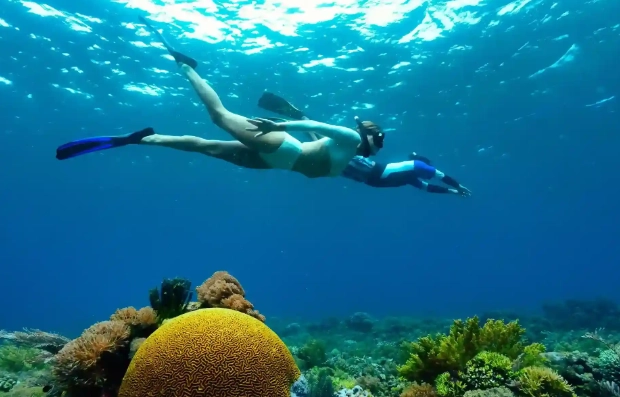 best snorkeling spots raja ampat