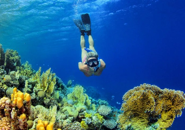 Komodo Island snorkeling
