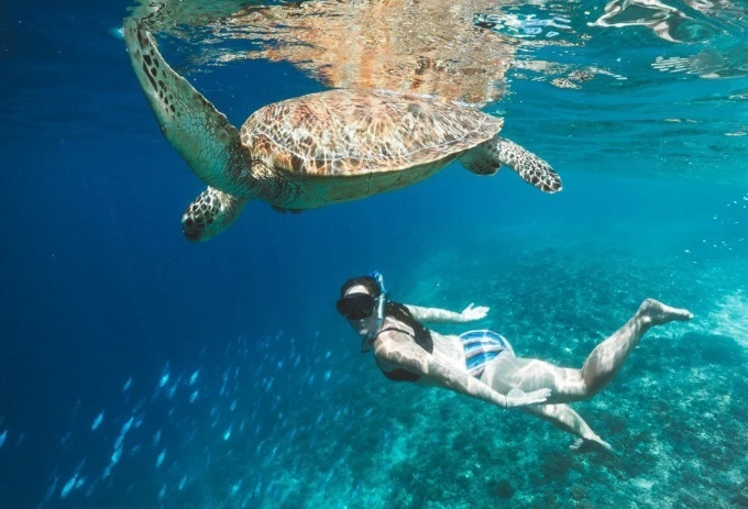 Gili Trawangan turtle point