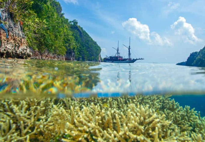 raja ampat snorkeling