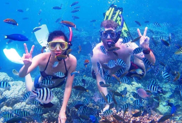 Bali marine life