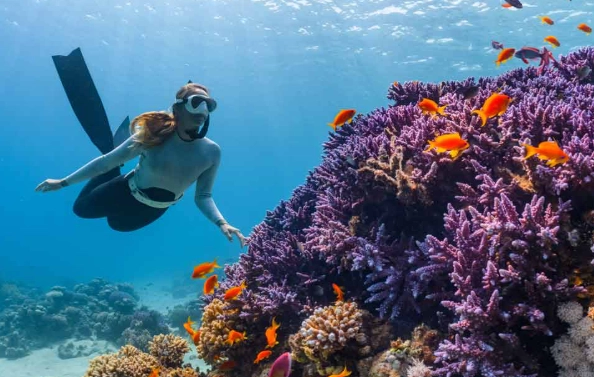 best snorkeling spots Gili Islands