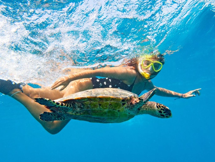 best snorkeling spots Oahu