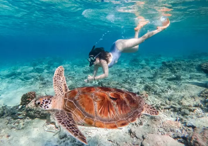 Gili Trawangan turtle point