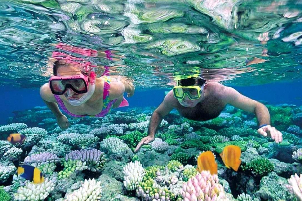 Palawan snorkeling tours