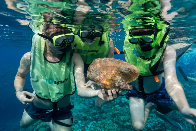 Cayman Islands snorkeling spots