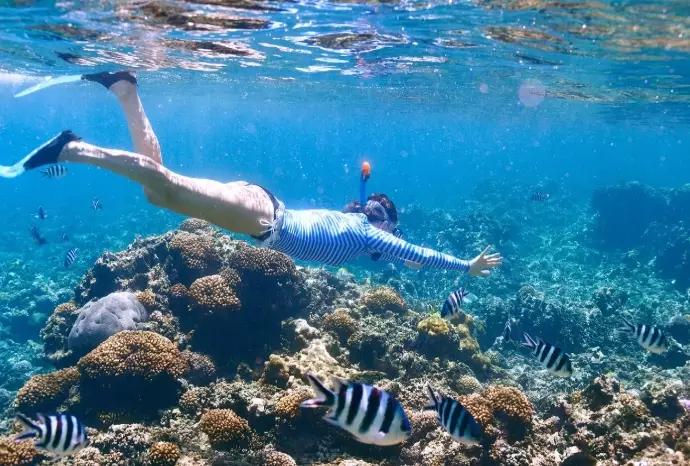 Cayman Islands snorkeling spots