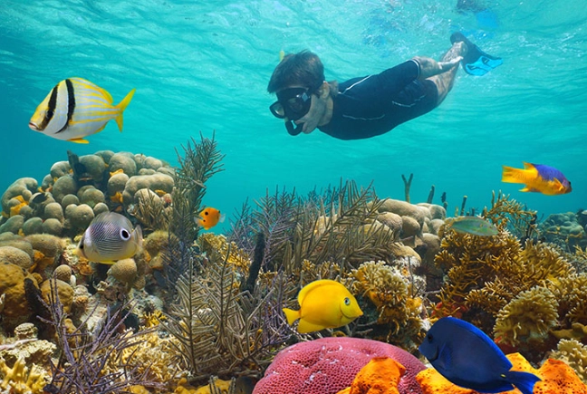 Turks and Caicos snorkeling spots