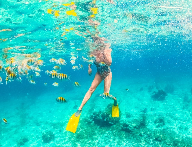 Jamaica snorkeling tours