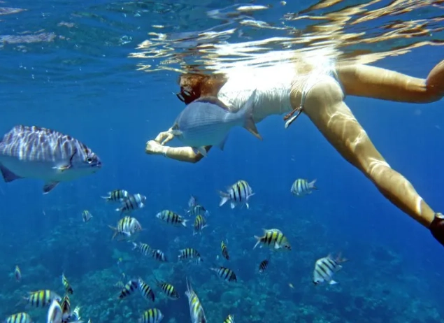 Roatan snorkeling spots