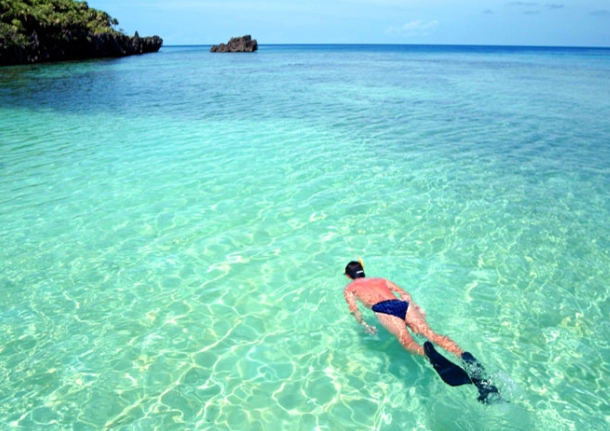 Roatan snorkel tours