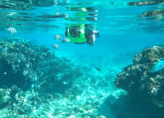 Roatan snorkel tours