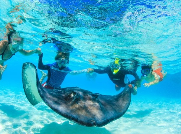 family snorkeling Cayman