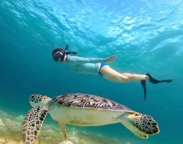 snorkeling in Maui