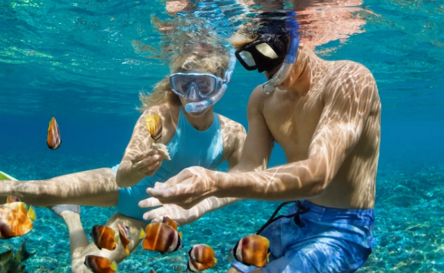 best snorkeling spots Jamaica