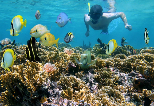 best snorkeling Grand Cayman