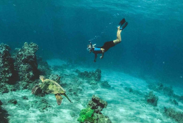 Roatan snorkeling spots