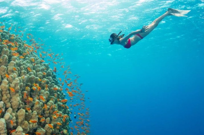 best snorkeling spots Jamaica