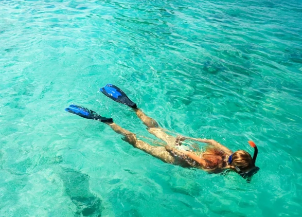 Bahamas snorkeling tours