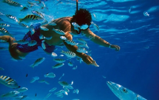 Palancar Reef snorkeling