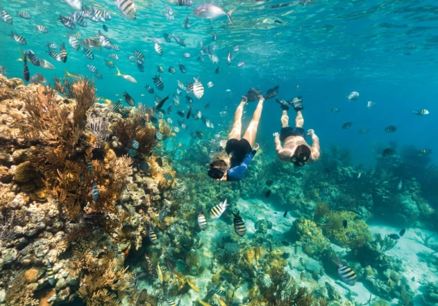best snorkeling spots Bahamas