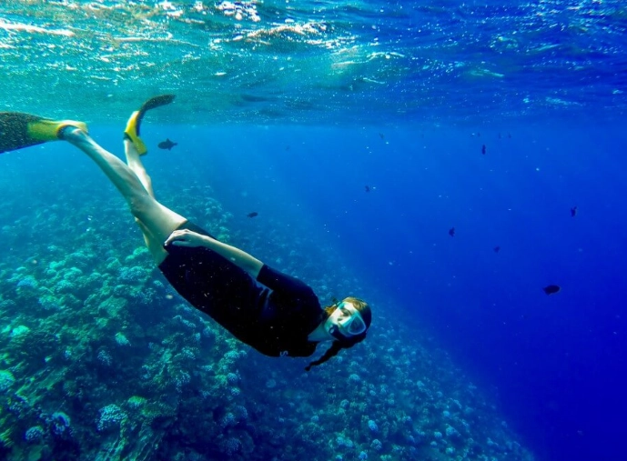 Maui snorkeling tours