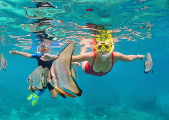 best snorkeling Roatan