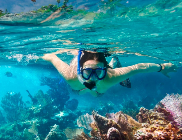 Palancar Reef snorkeling