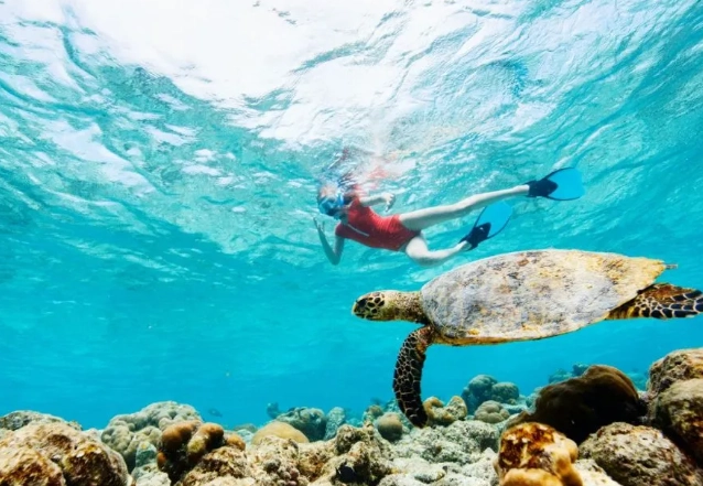 Grace Bay snorkeling