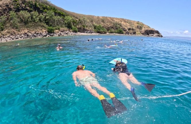 Maui snorkeling tours