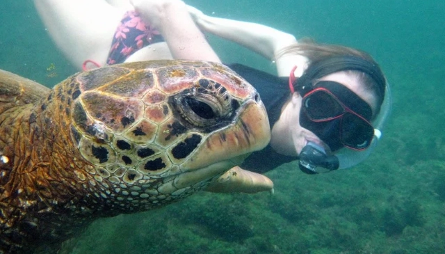 best snorkeling spots Galapagos